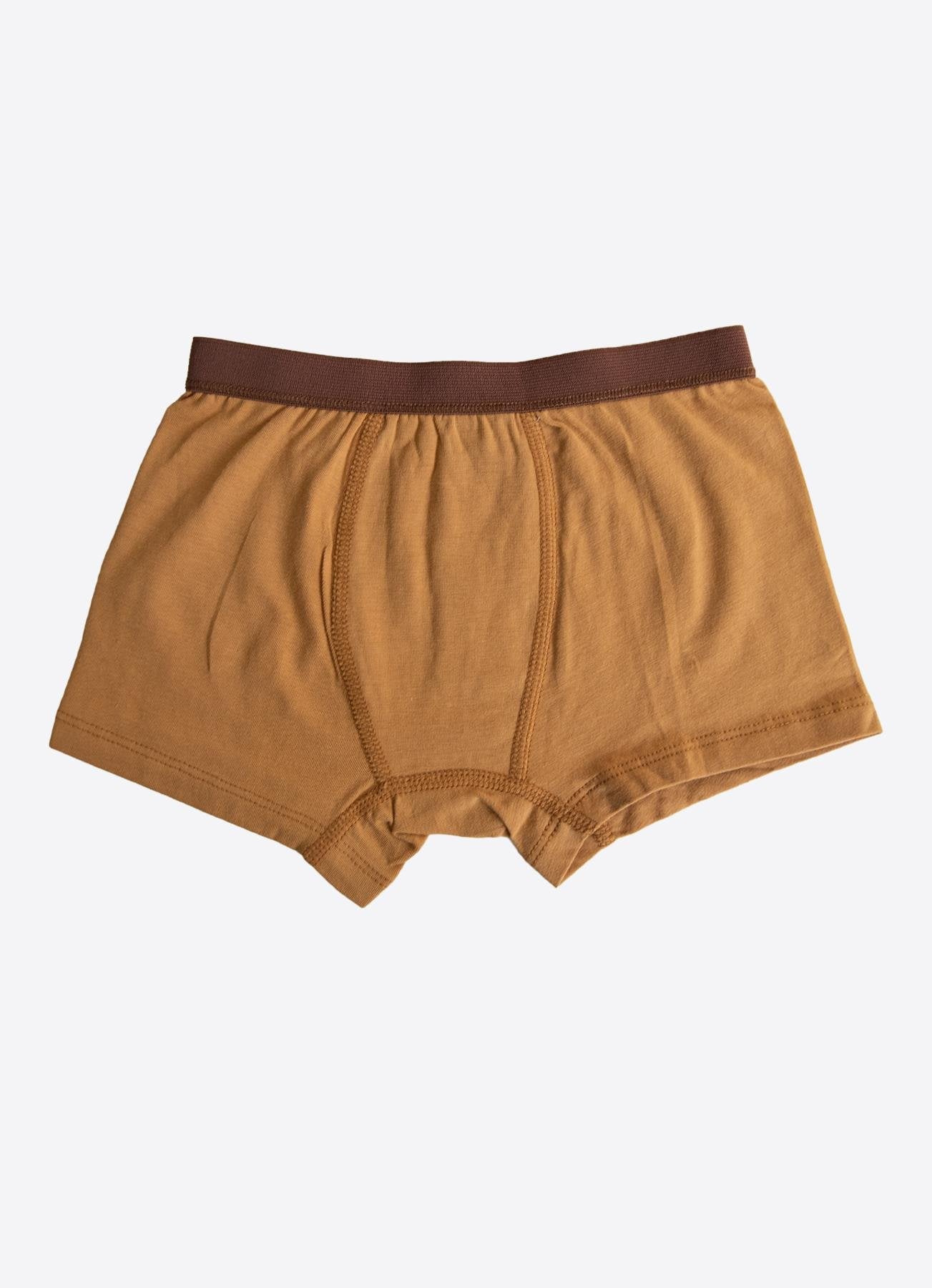 Organic Bear 3-pakning boksershorts brun